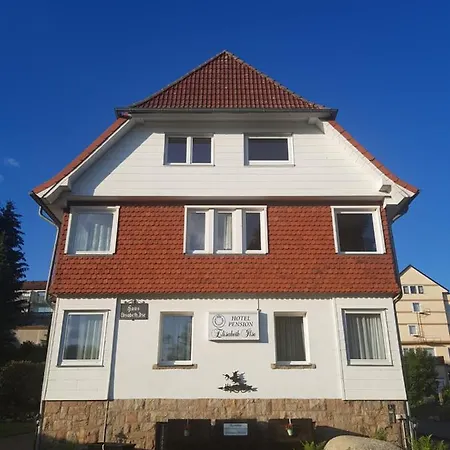 Hotel Elisabeth-ilse Braunlage