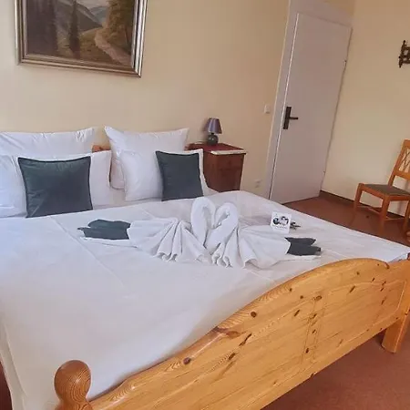 Elisabeth-ilse Hotel Braunlage