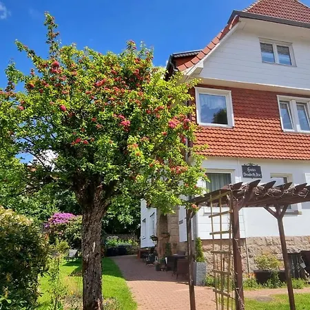 Elisabeth-ilse Hotel 3*